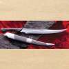 Raven Claw Fighting Knife - Image 2