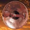 Pugnum Shield - Image 2