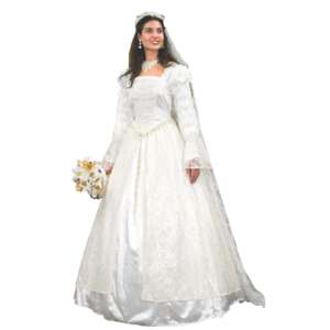 Renaissance Wedding Gown & Veil