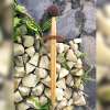 Medieval Practice Weapon-Dagger - Image 6