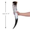 Odin's Oversized Drinking Horn with Stand - Image 4