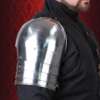 Transitional Pauldrons - Image 2
