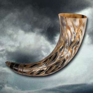Drinking Horn of Ragnar