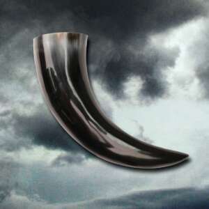 Longship Drinking Horn